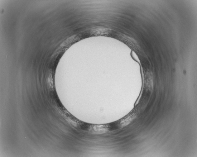 X0000061720622200512302121