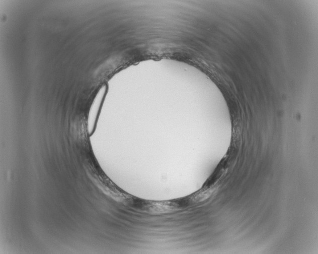 X0000061720623200512302121