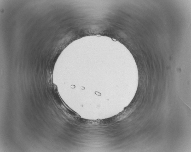 X0000061720624200512302121