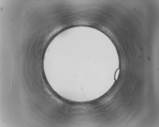 X0000061720625200512302120