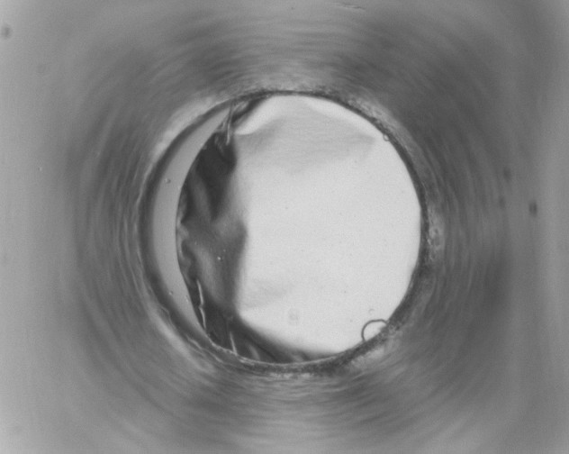 X0000061720626200512302120