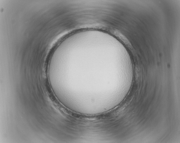 X0000061720628200512302120