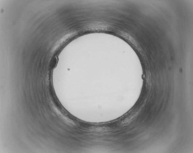 X0000061720629200512302120