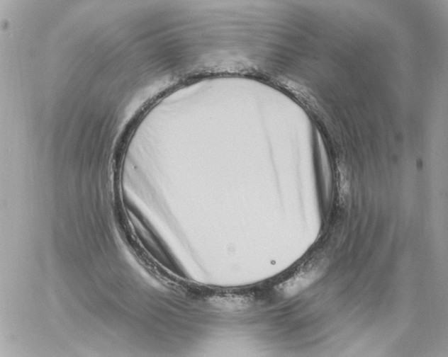 X0000061720630200512302121