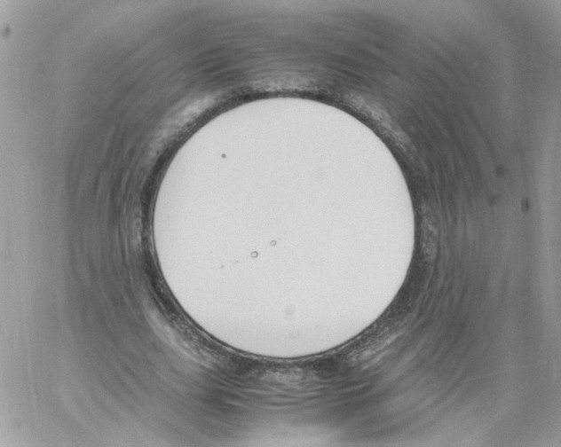 X0000061720631200512302121