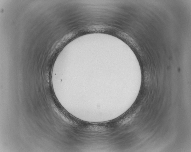 X0000061720633200512302121