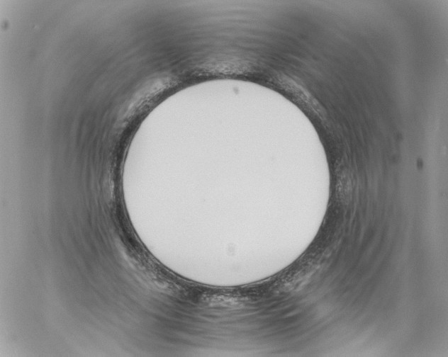 X0000061720635200512302121