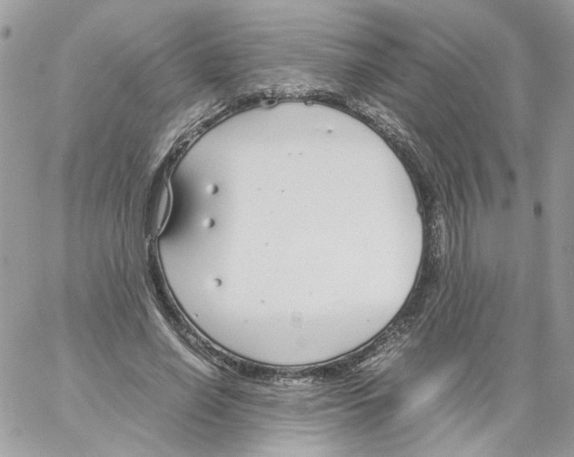 X0000061720638200512302121