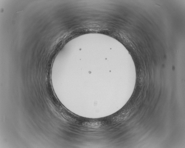 X0000061720639200512302121