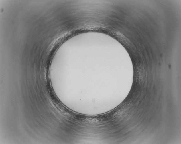 X0000061720640200512302121