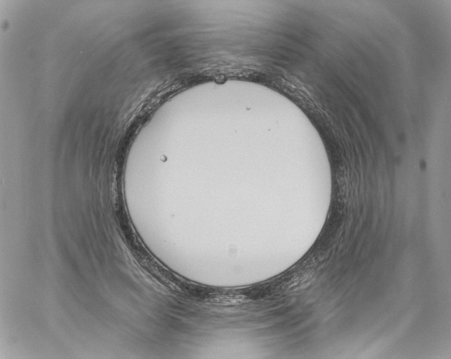 X0000061720642200512302121