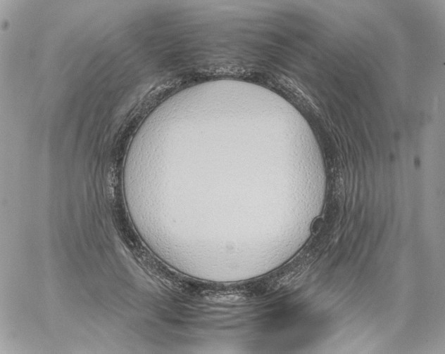 X0000061720643200512302121