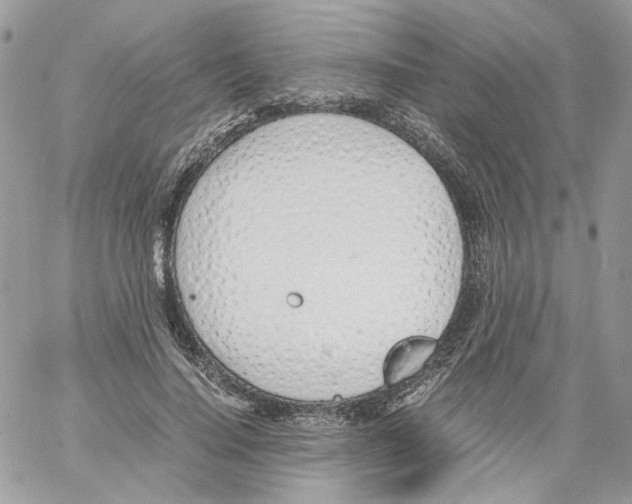 X0000061720644200512302121