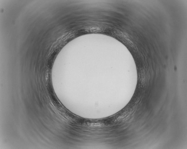 X0000061720645200512302121