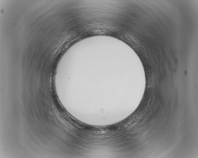 X0000061720646200512302121