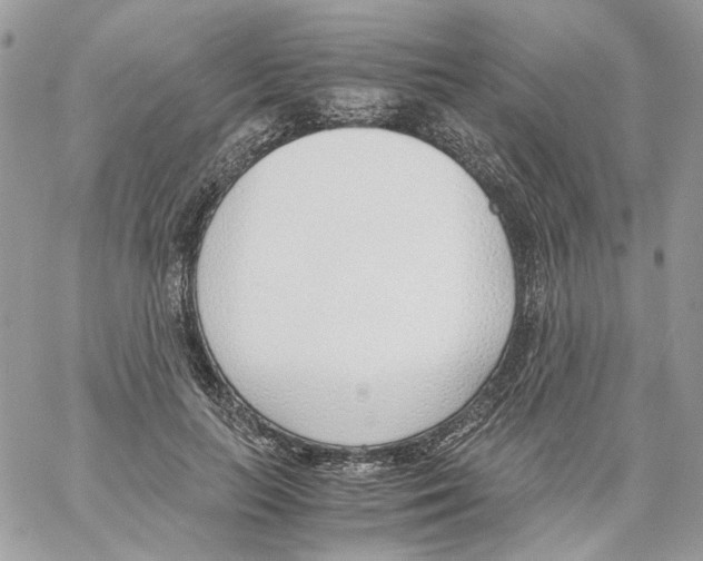 X0000061720647200512302121