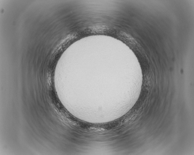 X0000061720648200512302121