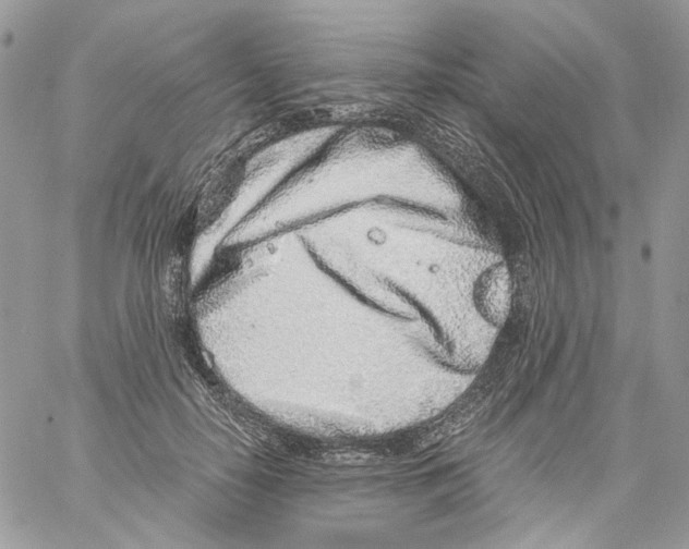 X0000061720650200512302121