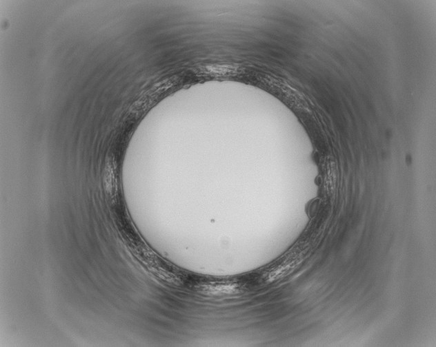 X0000061720651200512302121