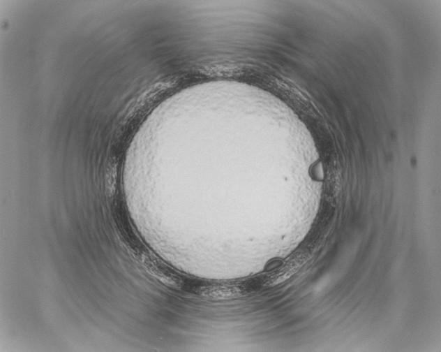 X0000061720652200512302121