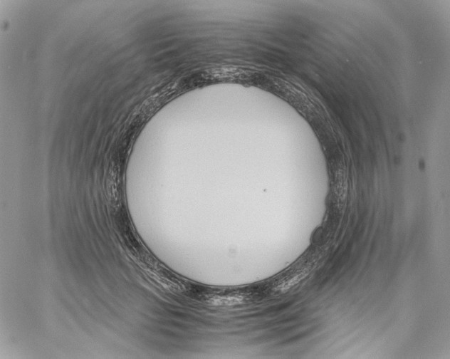 X0000061720653200512302121