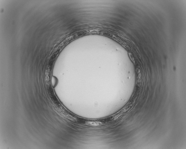 X0000061720654200512302121