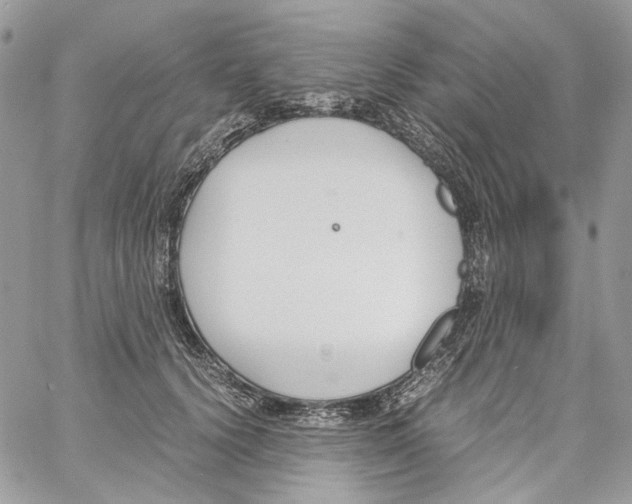 X0000061720656200512302121