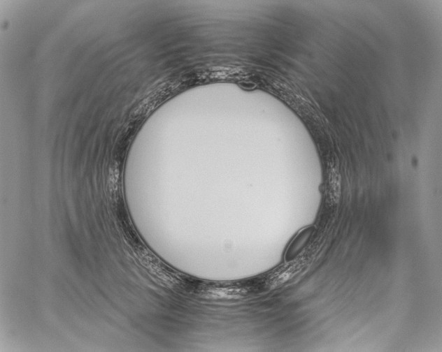 X0000061720657200512302121