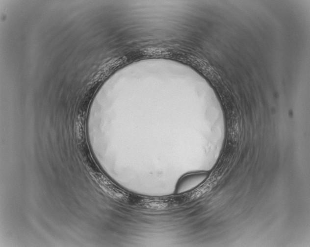 X0000061720658200512302121