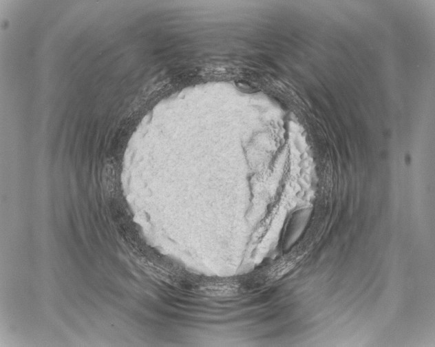 X0000061720659200512302121