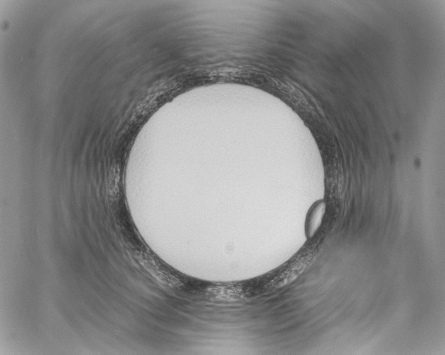 X0000061720660200512302121