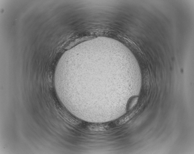 X0000061720661200512302121