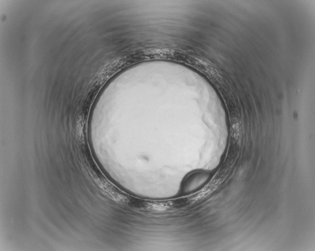 X0000061720662200512302121