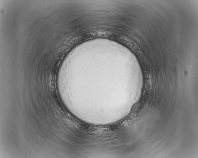 X0000061720663200512302121