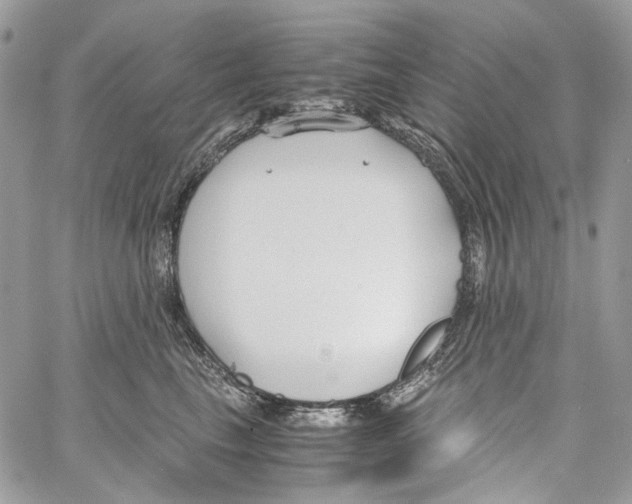 X0000061720665200512302121