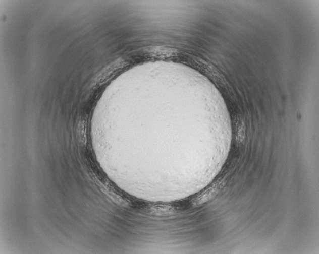 X0000061720666200512302121