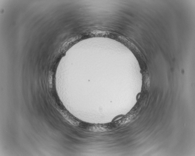 X0000061720668200512302121