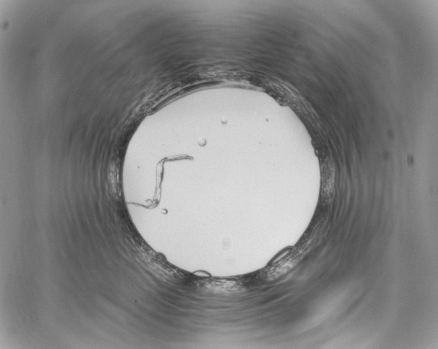 X0000061720669200512302121