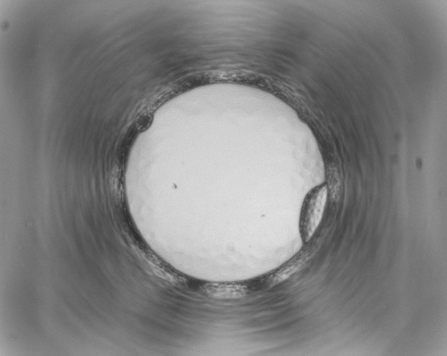 X0000061720670200512302121