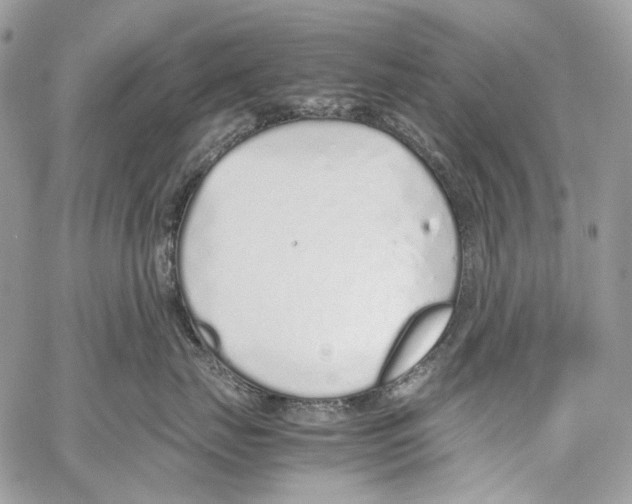 X0000061720671200512302121