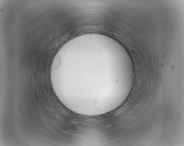 X0000061720672200512302121