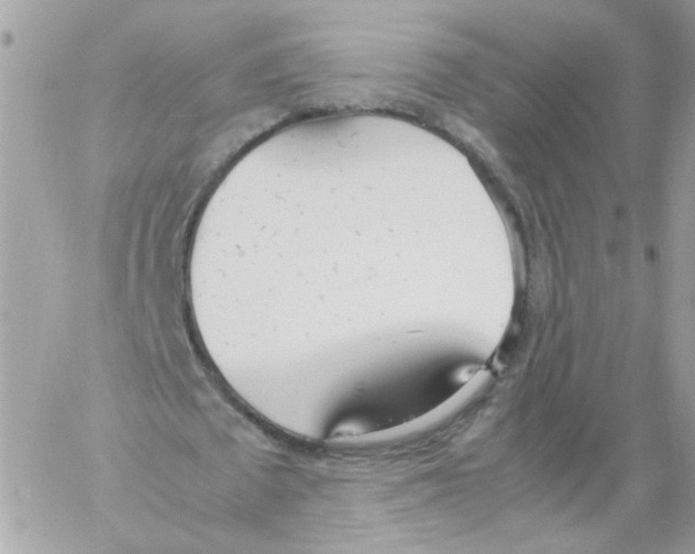 X0000061720673200512302120