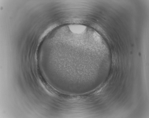 X0000061720674200512302120