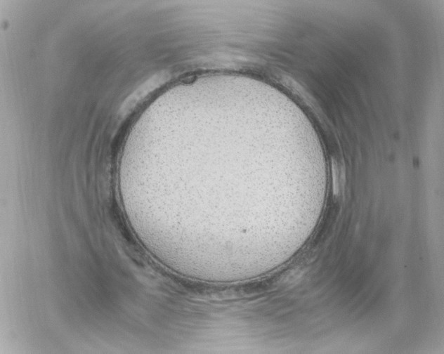 X0000061720675200512302120