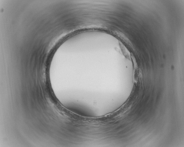 X0000061720676200512302120