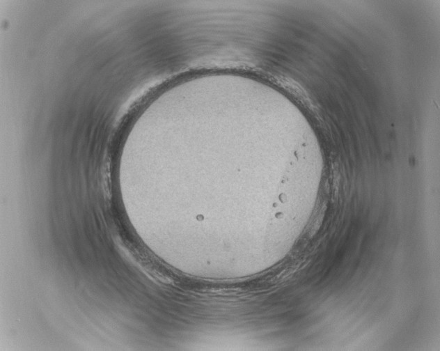 X0000061720680200512302120