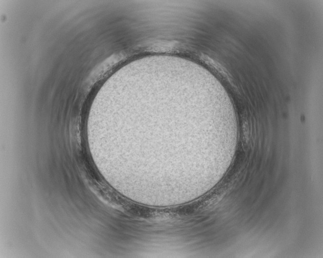 X0000061720682200512302120