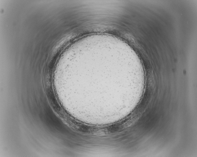 X0000061720683200512302120