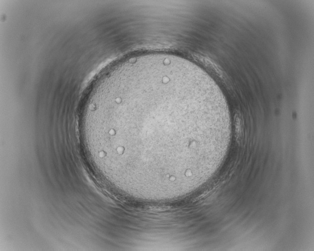 X0000061720684200512302120