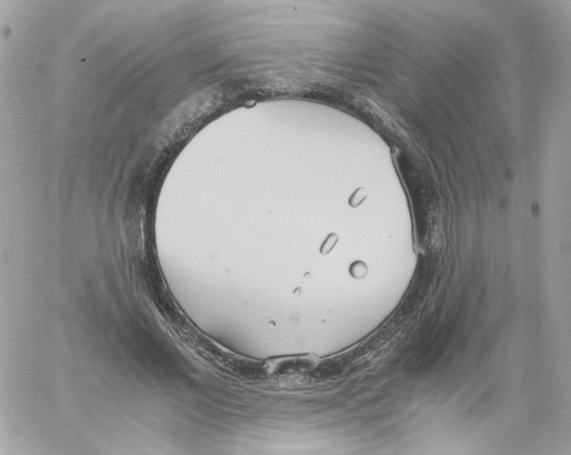 X0000061720685200512302120